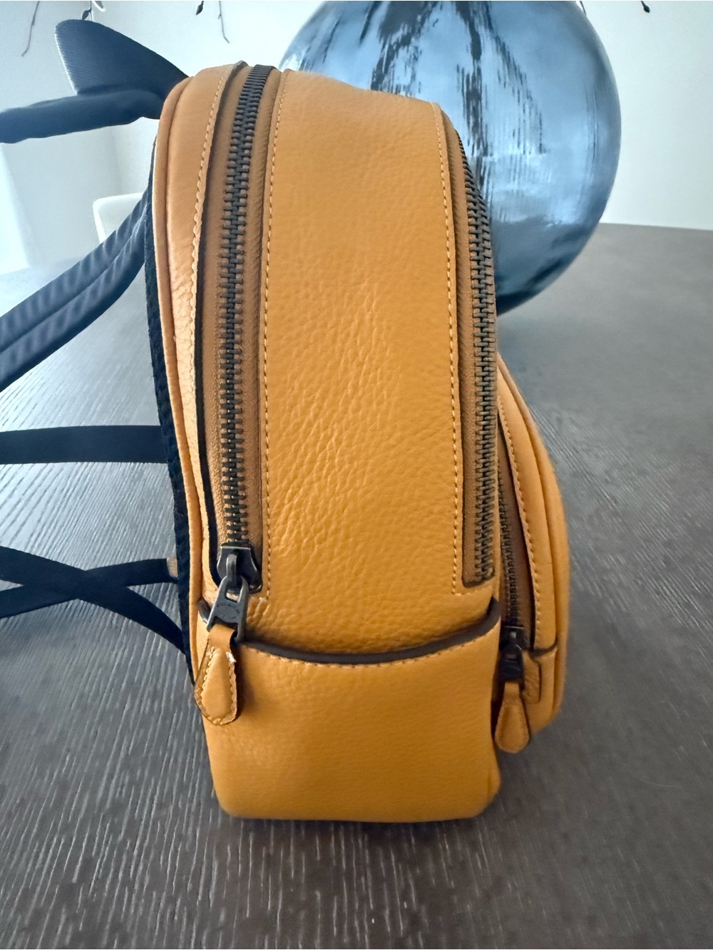 Coach Mini Backpack - Picture 5 of 10